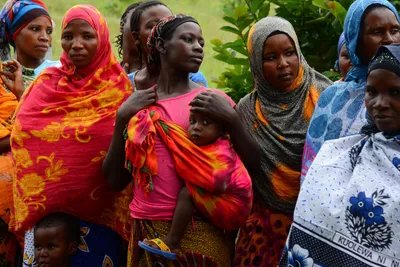 DSC_9459 (Large).JPG